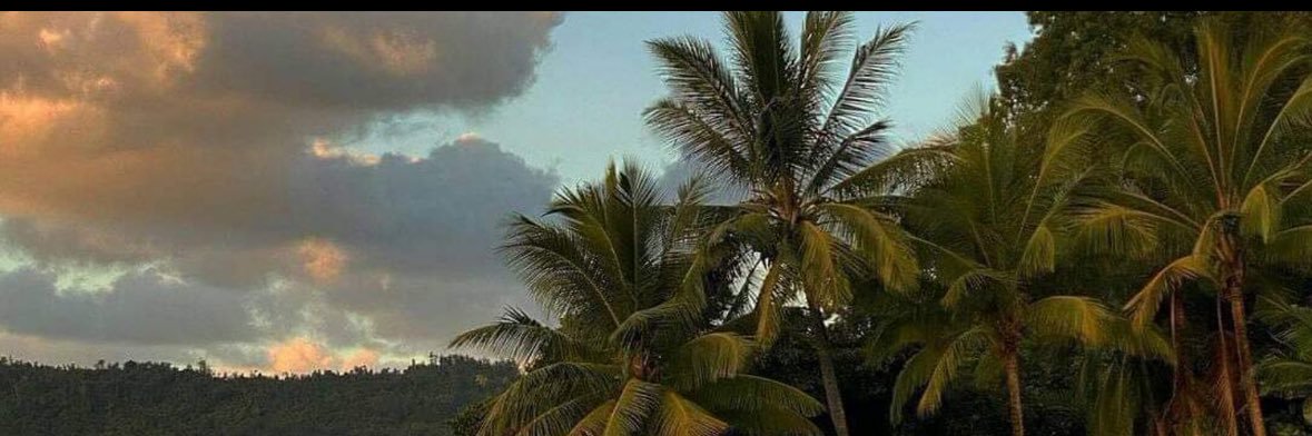 butterpecamber's profile banner image