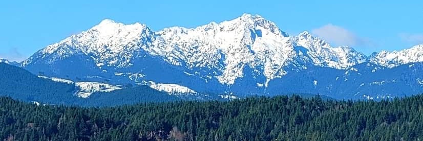 Randy North banner