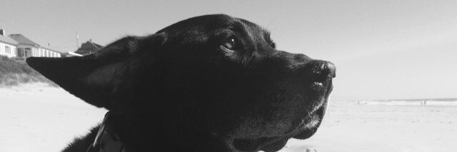 Megan Lawrence banner