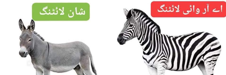 ProDemocracyPK's profile banner image
