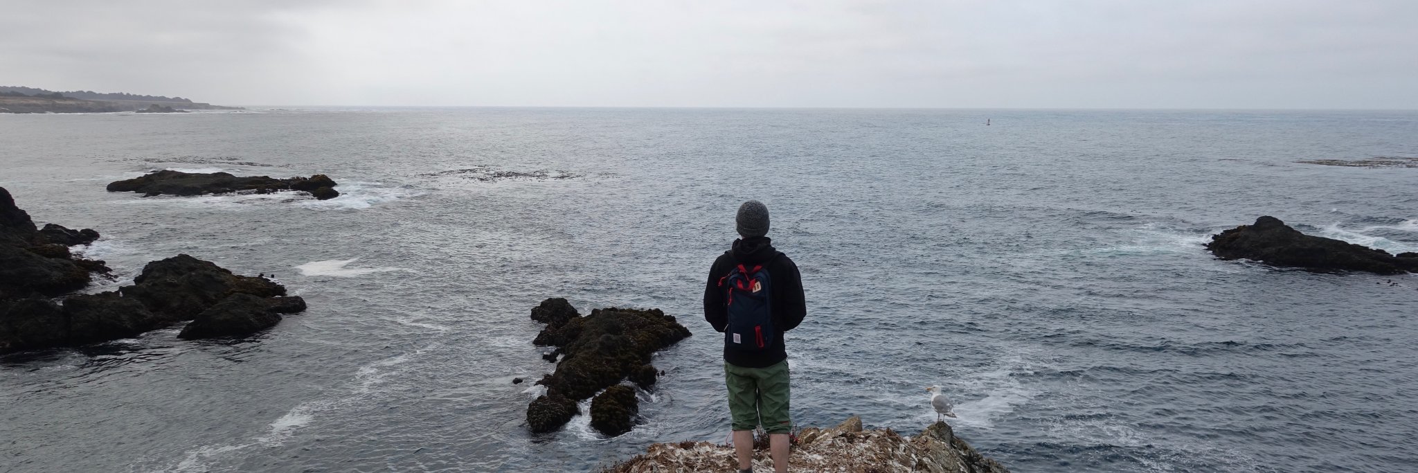 David Shackelford banner