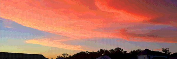 reeseeatsrocks Profile Banner