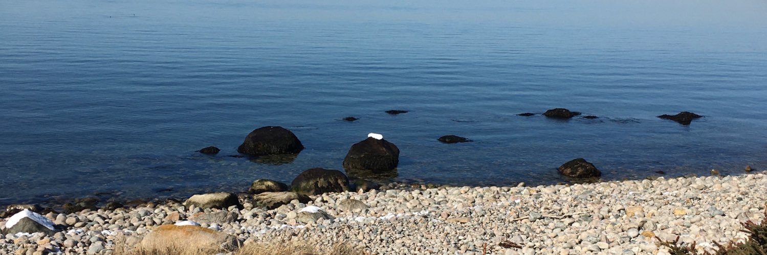 Amanda Cleveland banner