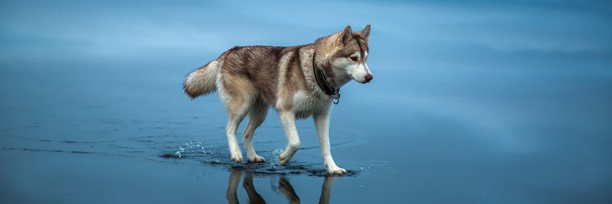 Kelvin.ink 🟧 banner