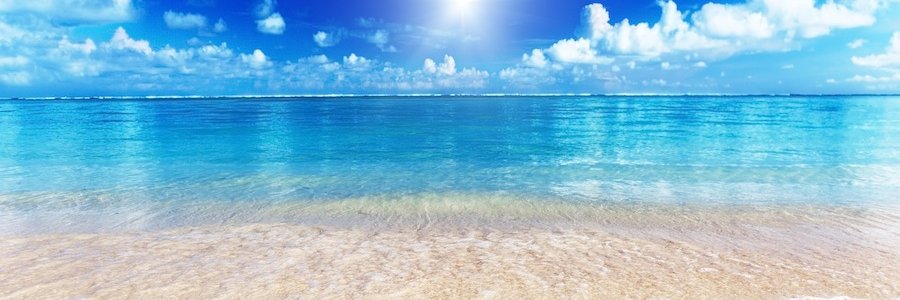 erinoconn's profile banner image