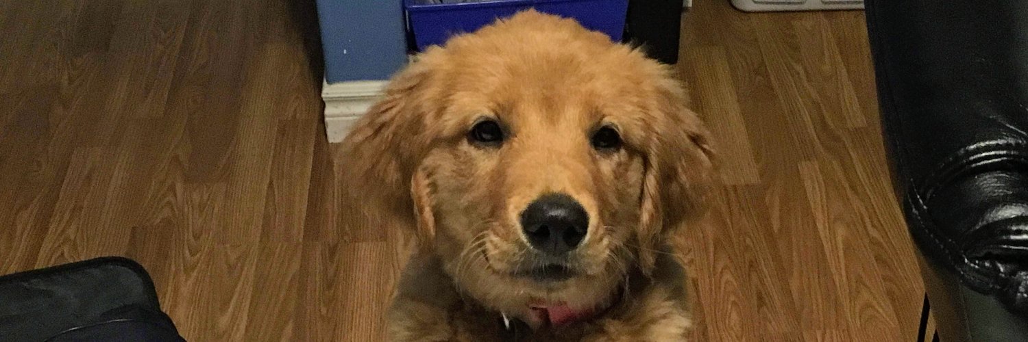 joshondemand's profile banner image