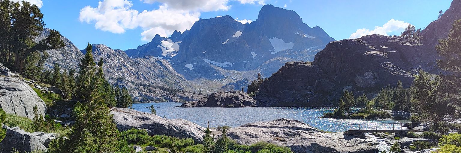 Neoliberus Jihadicus Twinkimus banner