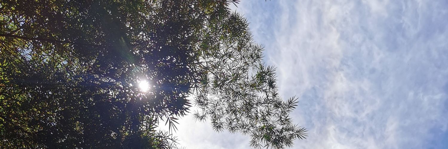 ANDRESLGUTIERRE's profile banner image