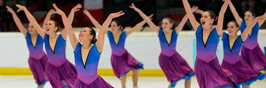 Hockettes SST banner