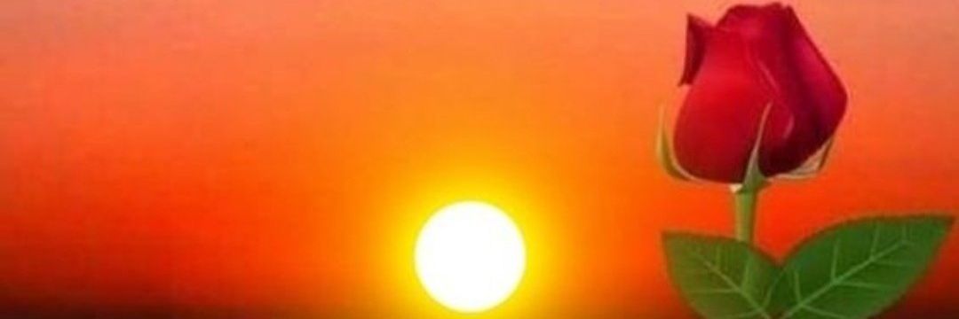 Mahmut10691375's profile banner image