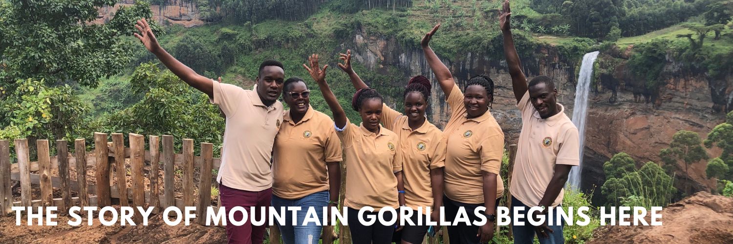 Bwindi Gorilla Trekking Safari Company banner