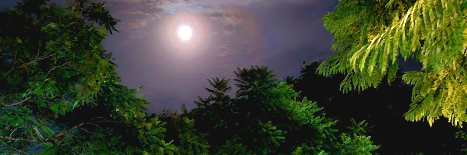 Kartoledo's profile banner image