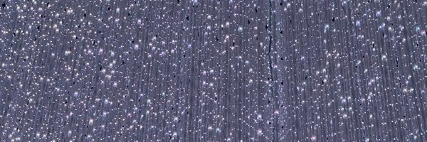 shiho__tin Profile Banner