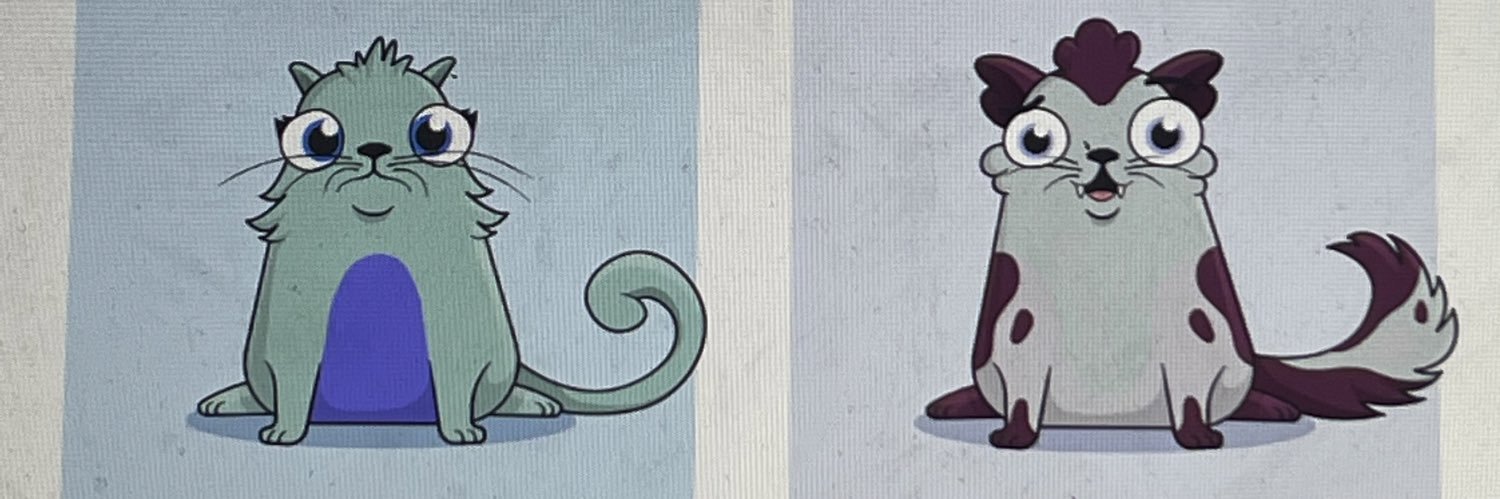 NftLenz banner