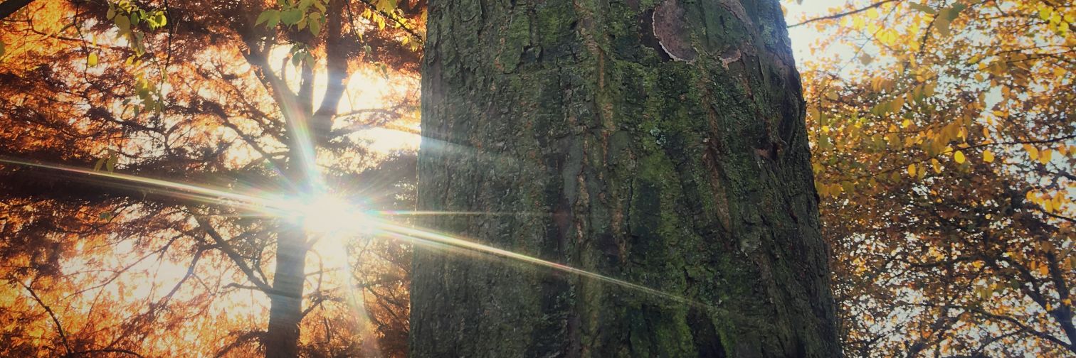 eliftugbag's profile banner image