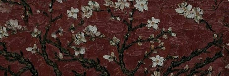ᯓᡣ𐭩Sam🇻🇪💌 banner