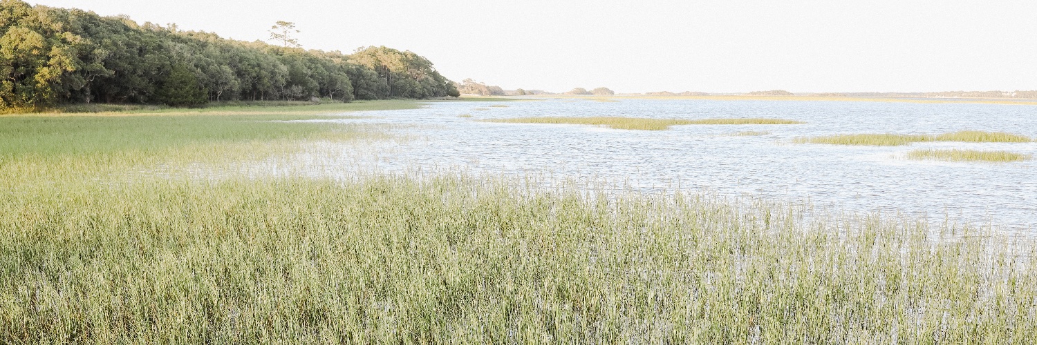 AlisandraPhoto's profile banner image