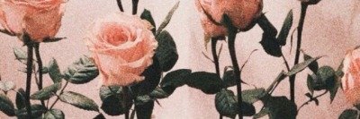larry_mrary's profile banner image