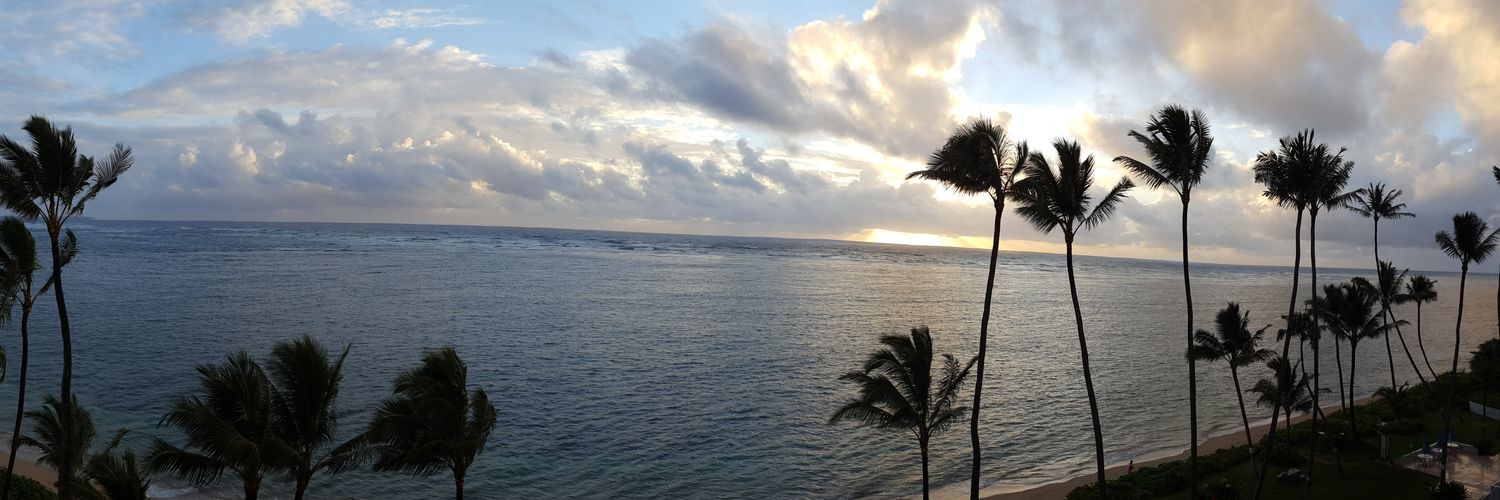 shane24's profile banner image