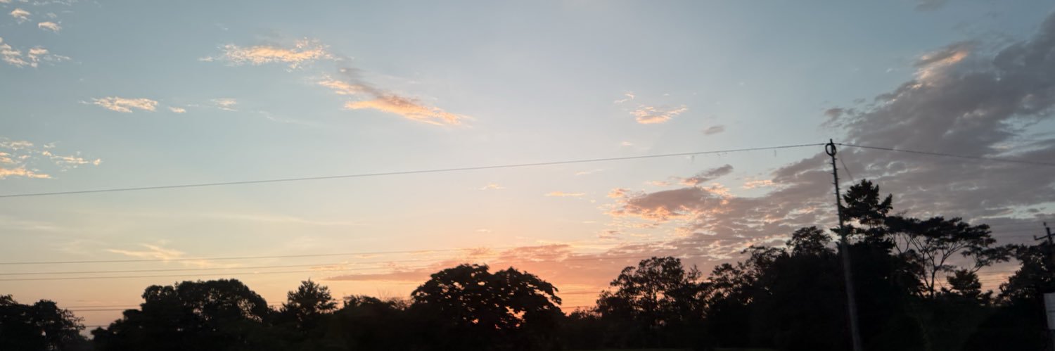 msldani1205's profile banner image