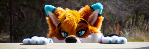 AutumnFox841 Profile Banner