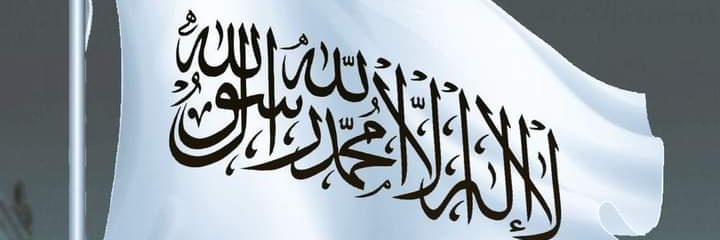 حلیم پکتیاوال banner