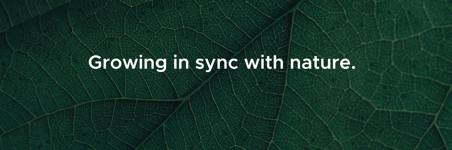 Kelly Manning banner