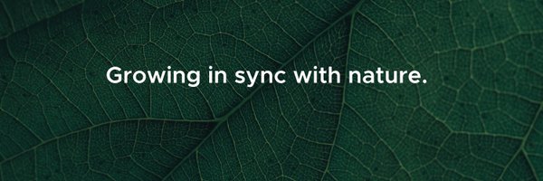 kmanning Profile Banner