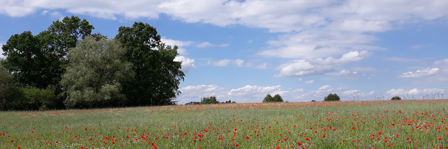 mebemar's profile banner image