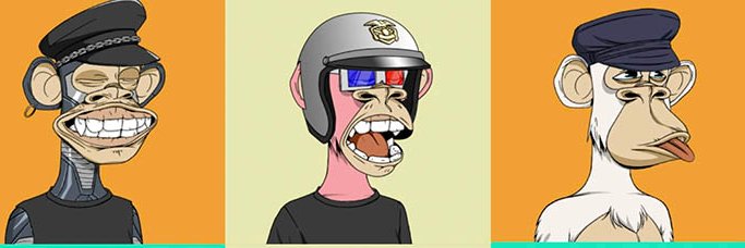 Non Fungible Col banner