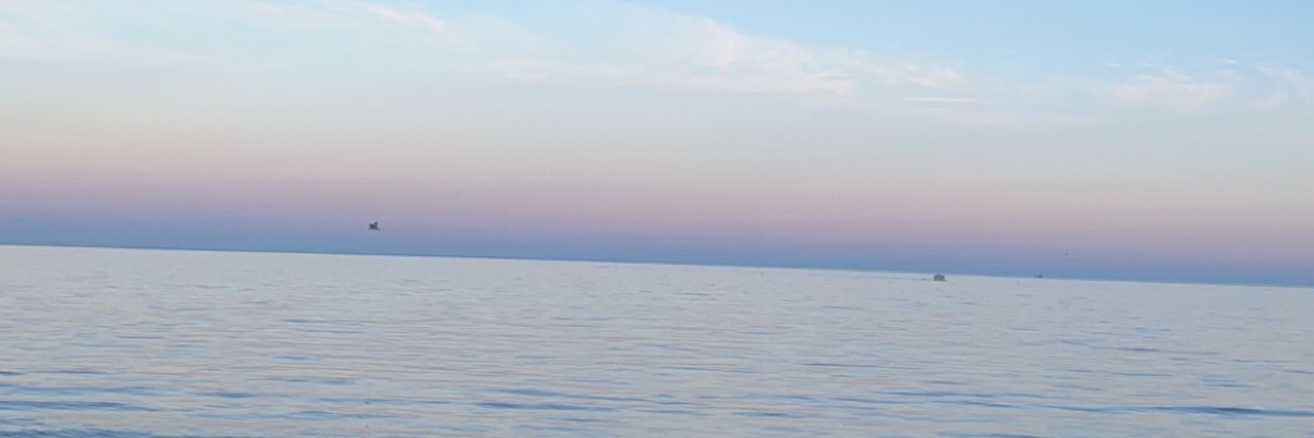 traphousebunny's profile banner image