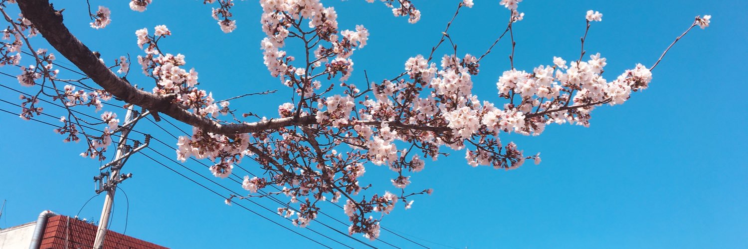 0X1ovesong_'s profile banner image
