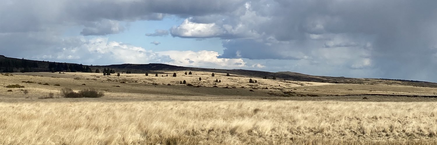 Elizabeth Wainwright banner
