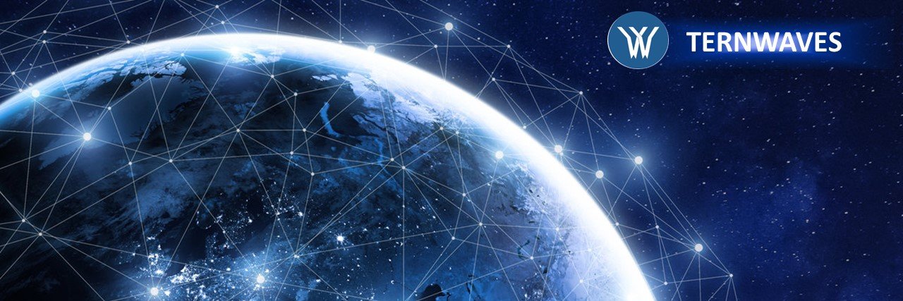 Ternwaves banner