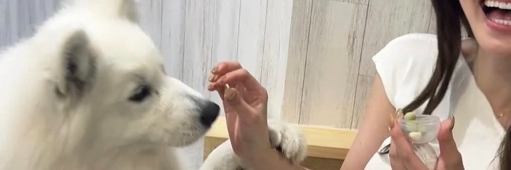 まゆとﾒﾘｰちゃん🐩👑| ドル円・ゴールド banner