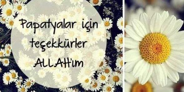 kln_113's profile banner image