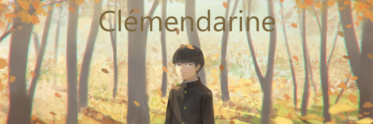 Bodrix banner