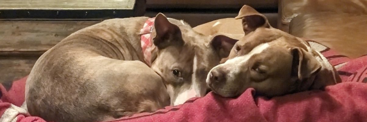 MikeAustin's profile banner image