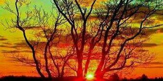 مصر الحلوة⁦⁦⁦🧔🏻⁩⁦ banner