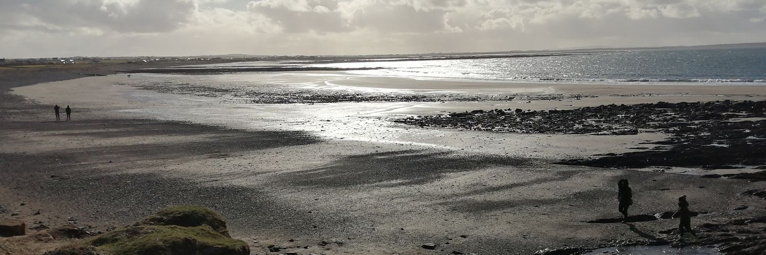 Stephen Kelly banner
