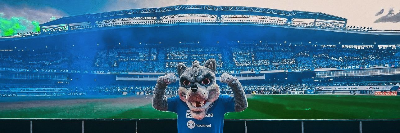 luciana silva paysandu banner