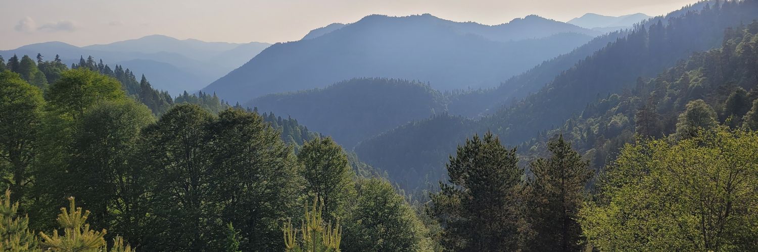 trkhn14's profile banner image