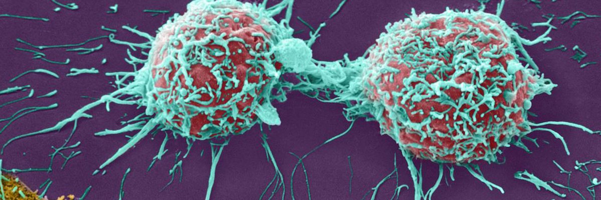 HTG Molecular banner