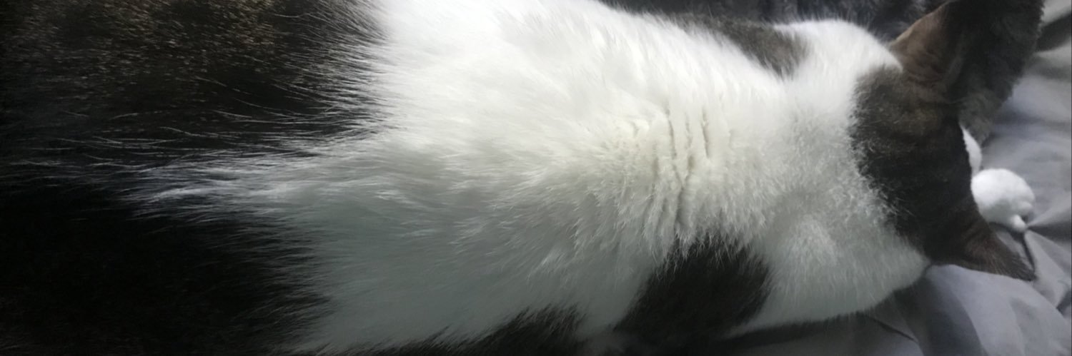 Default_JPEG's profile banner image