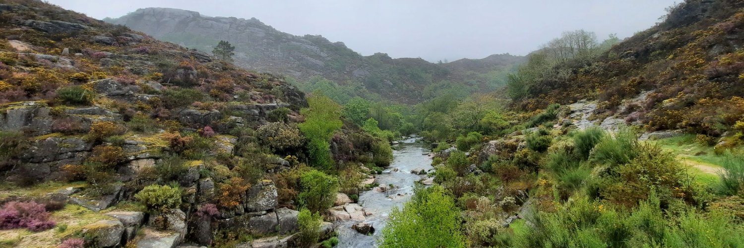 João  Soares banner