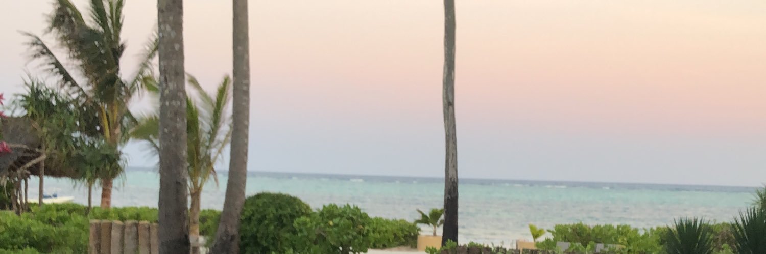 BartJanDecroos's profile banner image
