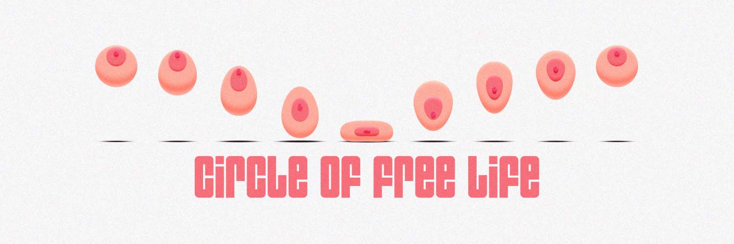 COFLcollection's profile banner image