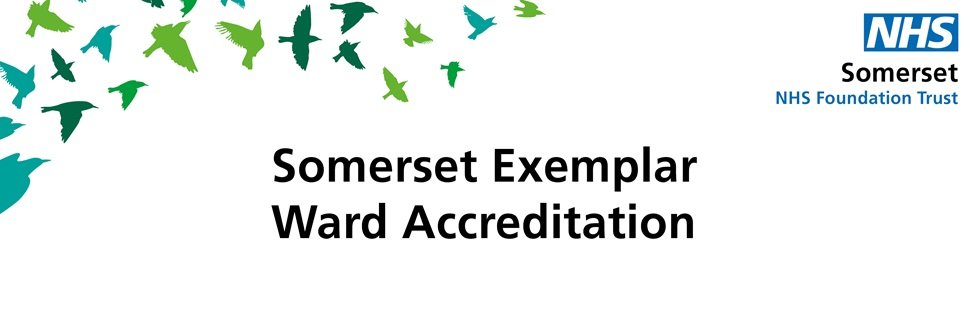 Somerset Exemplar Accreditation banner