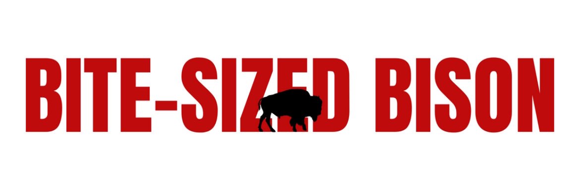 taylor from bite-sized bison banner