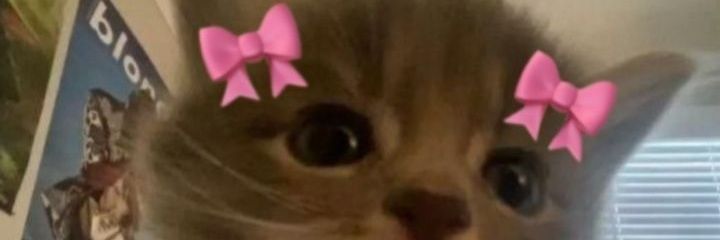 jaeuzzlee's profile banner image